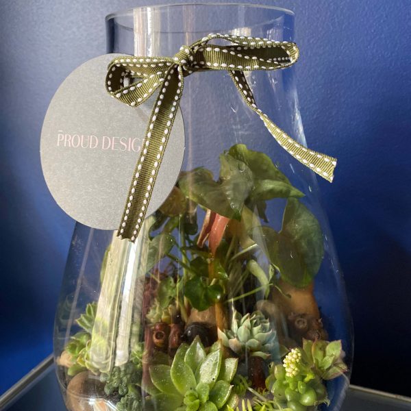 Terrariums