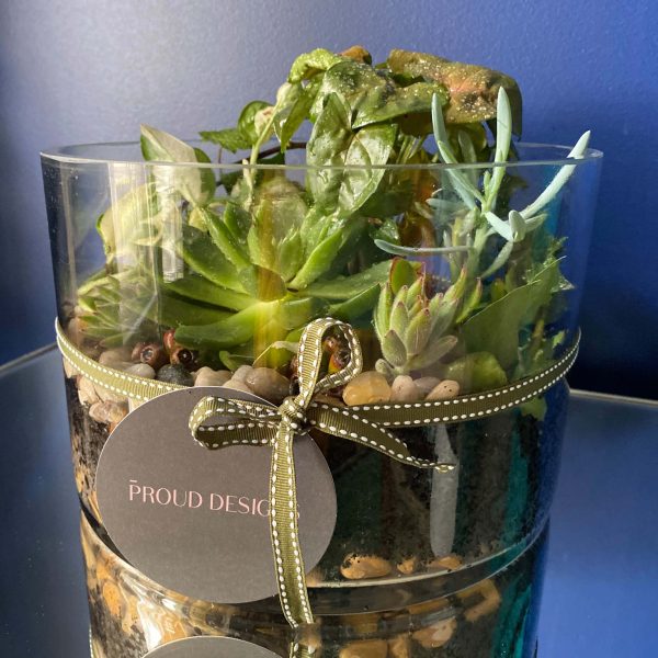 Terrariums